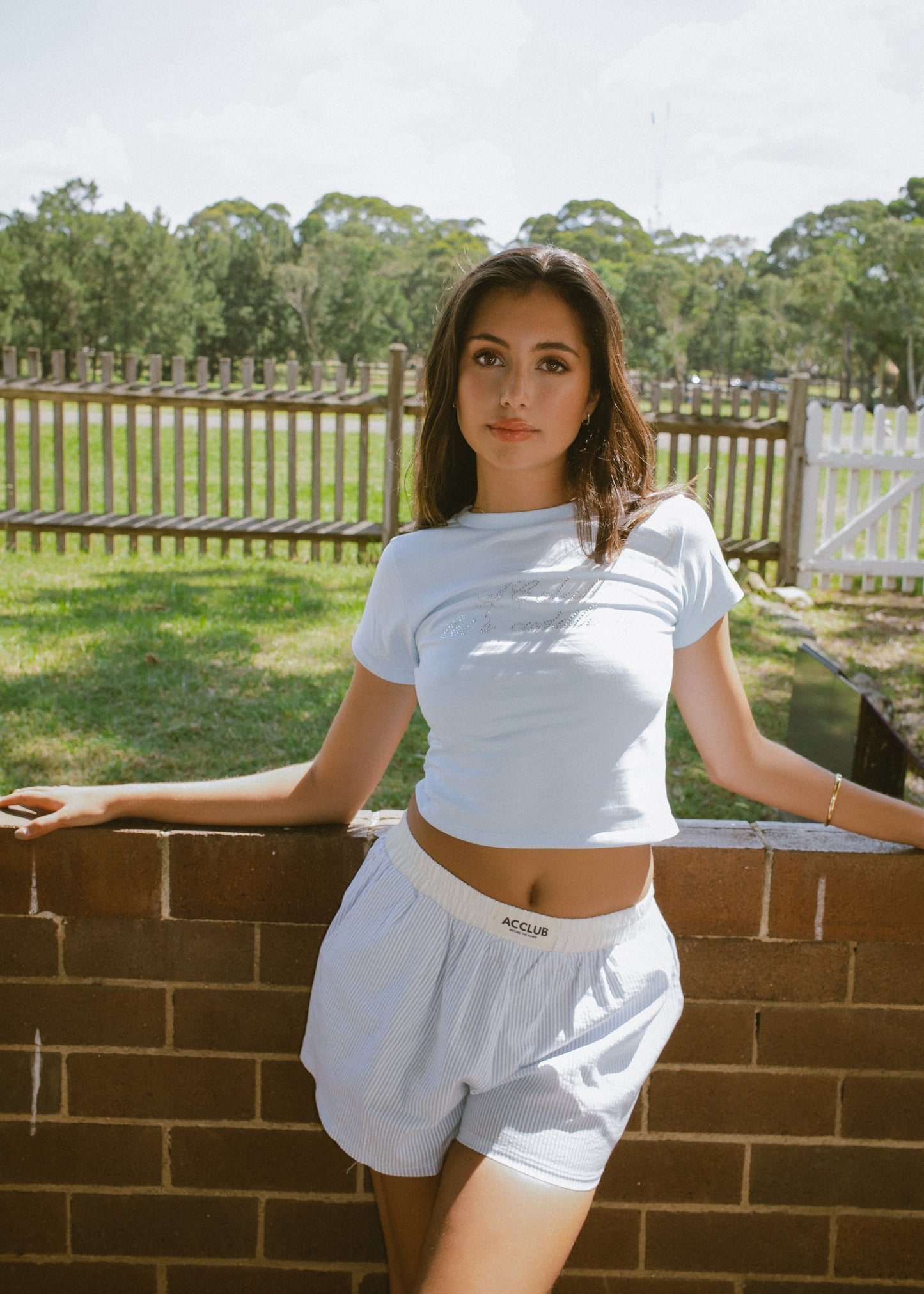 Blue striped Boxer Short